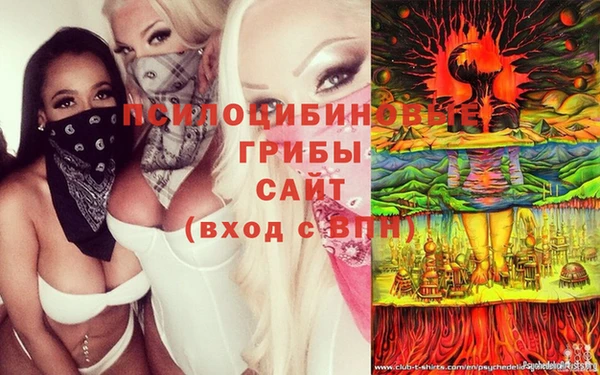МДПВ Осинники