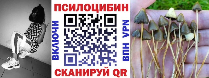 Псилоцибиновые грибы мухоморы  наркота  Петровск 