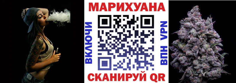 наркотики  Петровск  Каннабис индика 